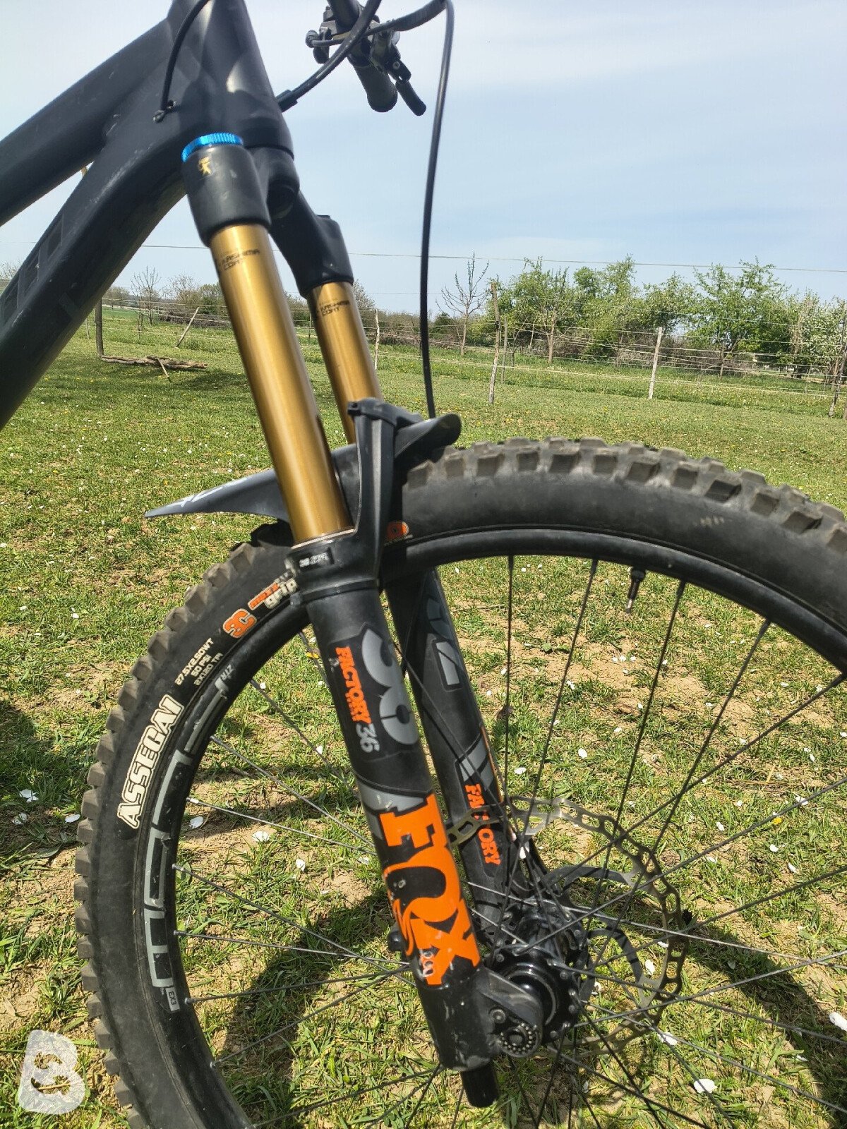 Propain Spindrift High End 2019