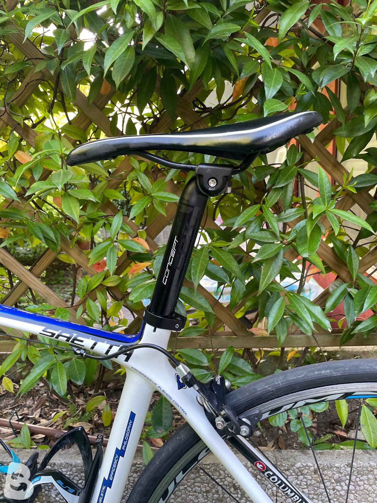 Cinelli Saetta