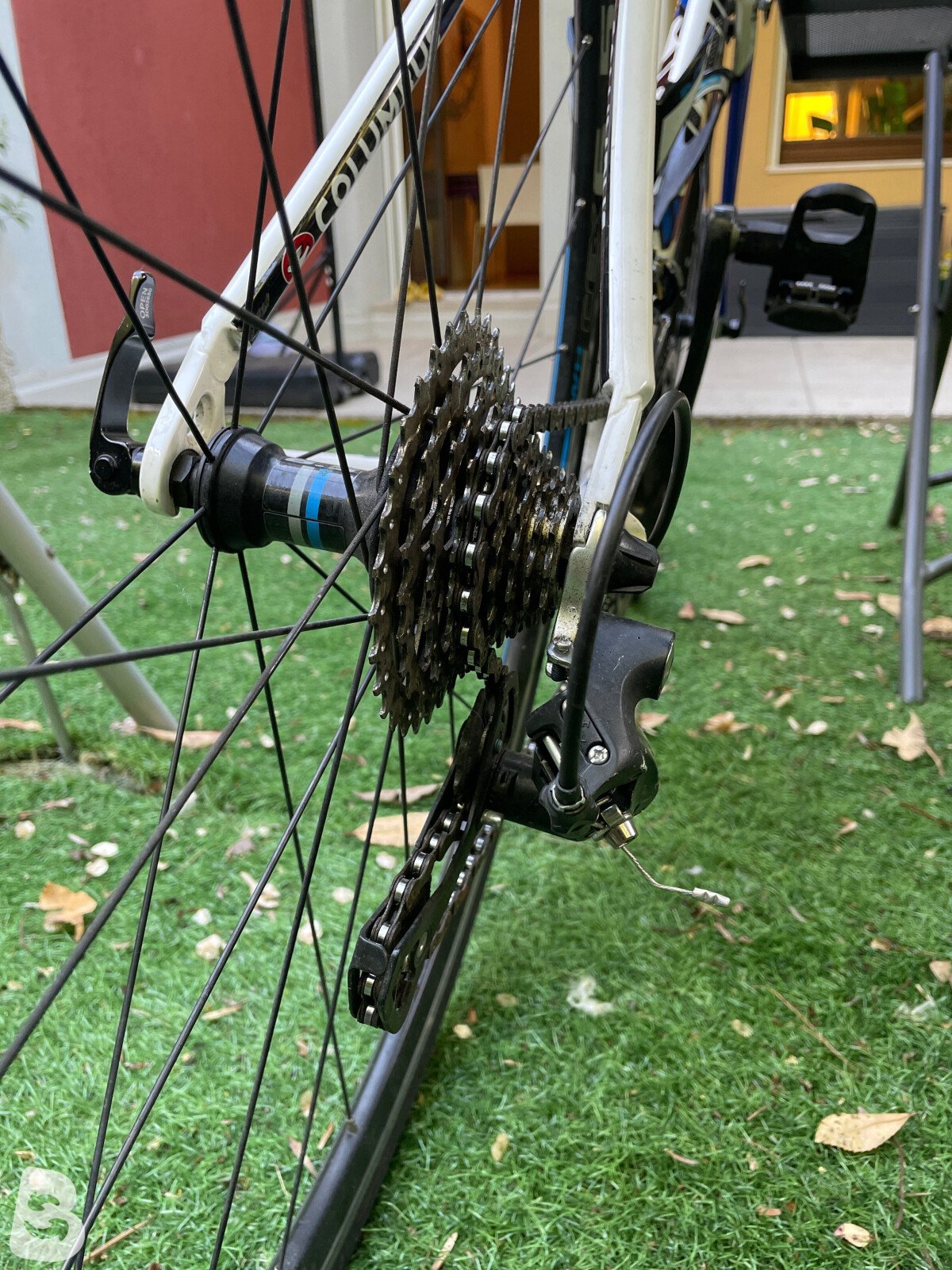 Cinelli Saetta