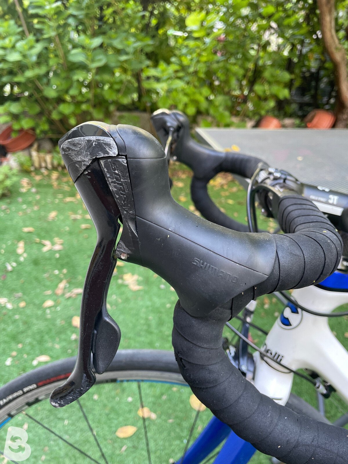 Cinelli Saetta