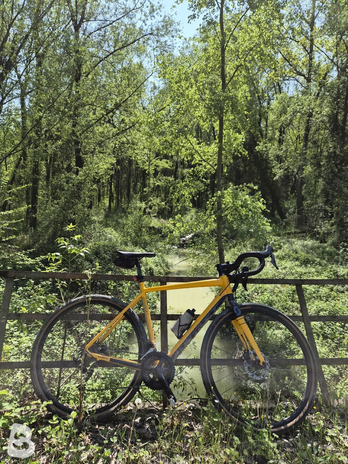 Scott Speedster 20 Disc 2020