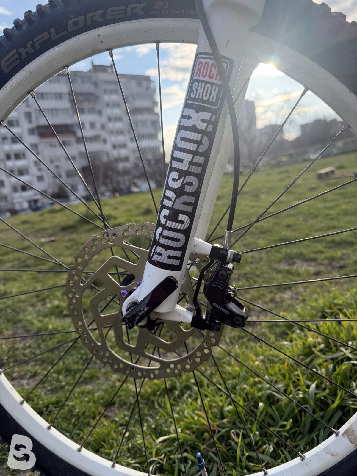 Scott Contessa 2015