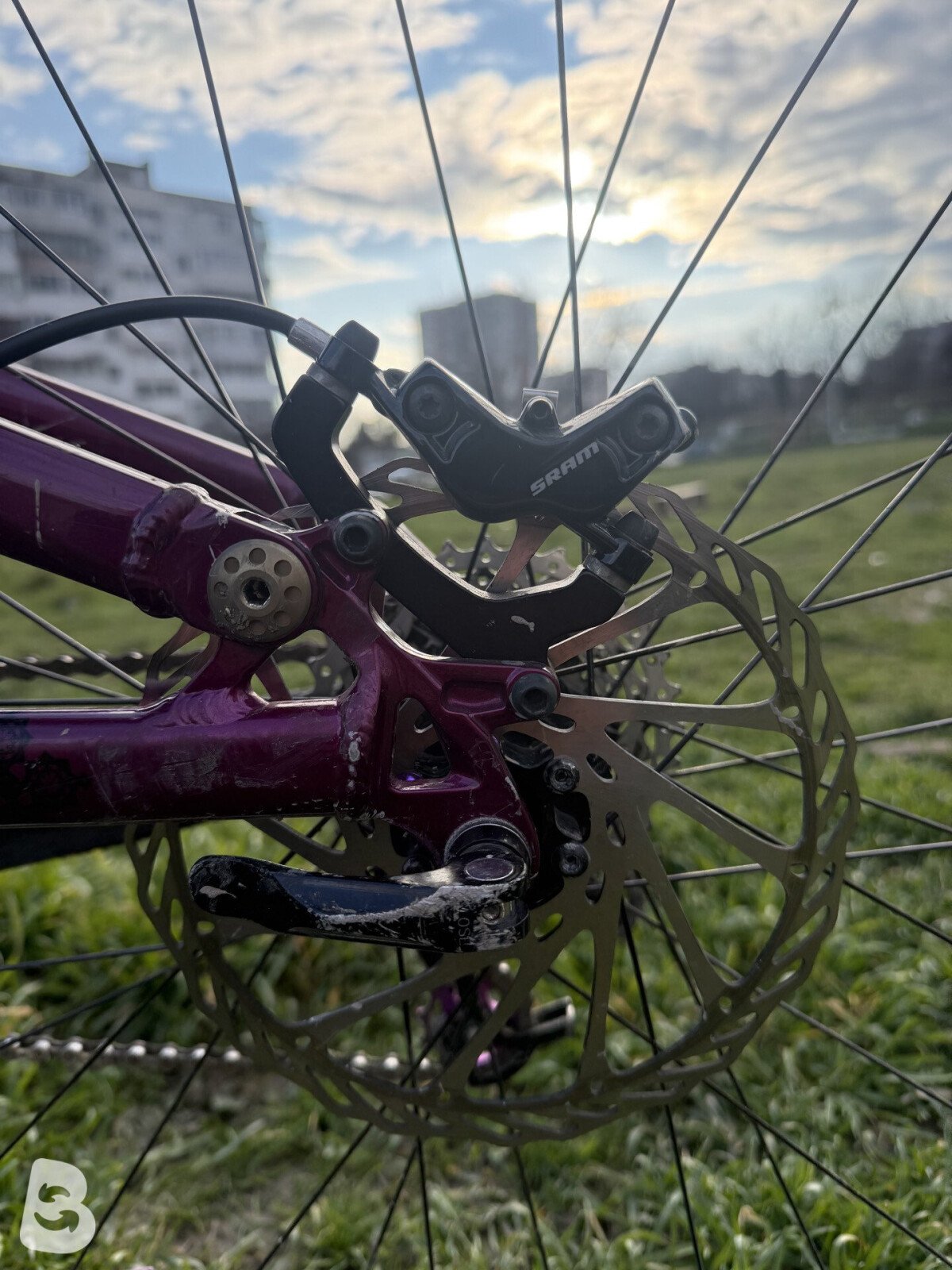 Scott Contessa 2015