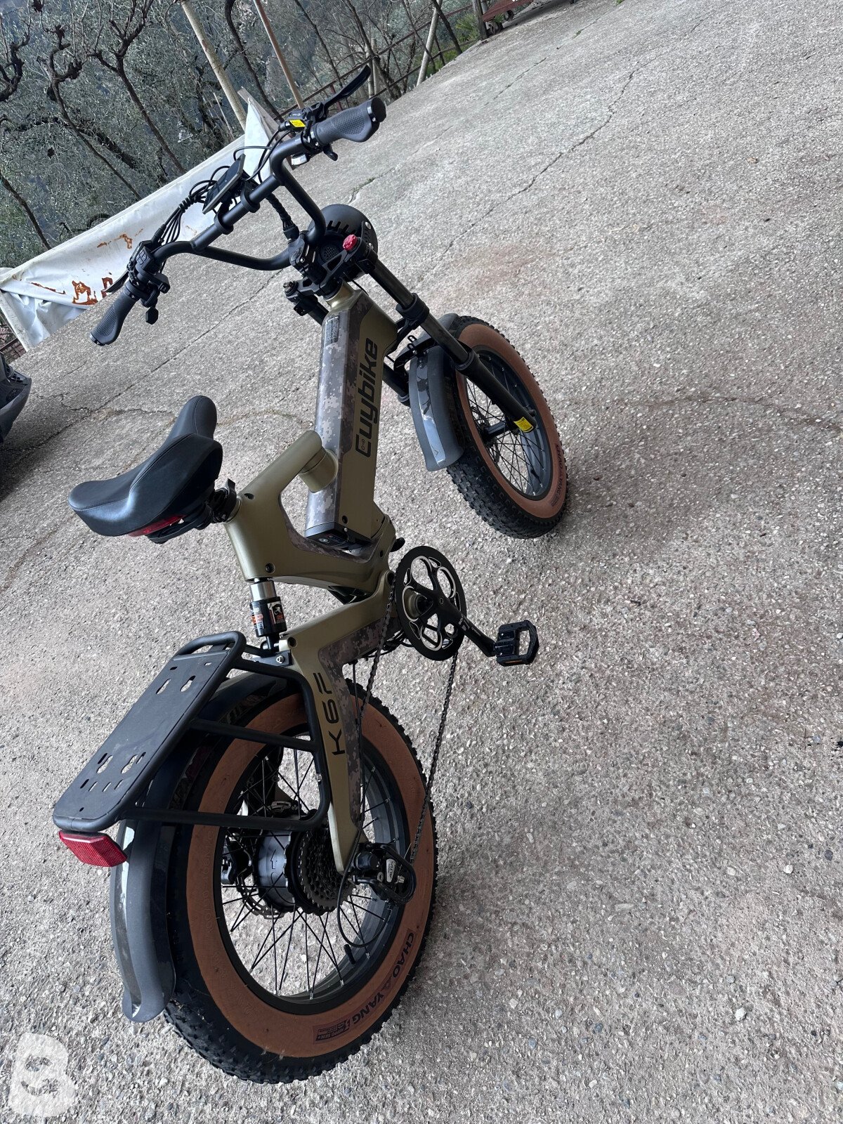 Checker Pig Cuy bike 2024
