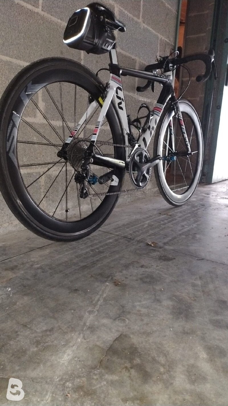 Giant Liv Envie Advanced2 2018