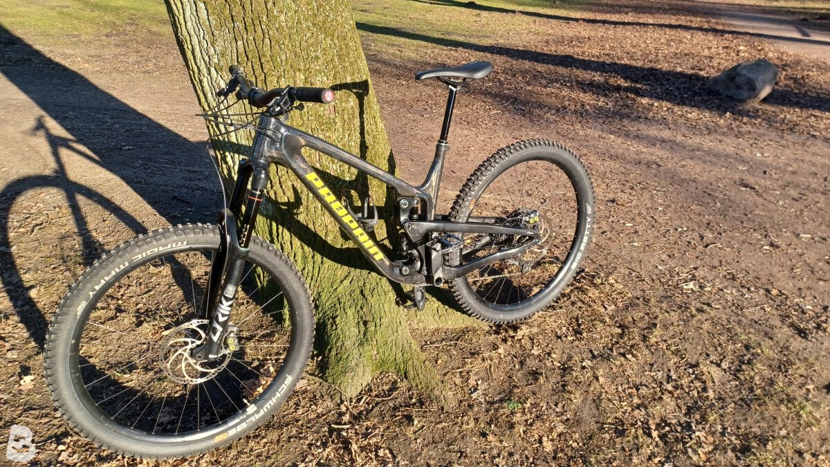 Propain Tyee CF 2020