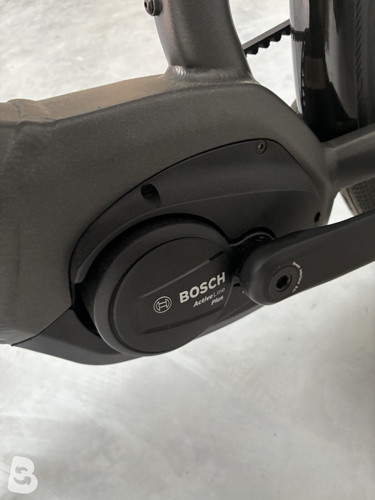 Gepida Bonum Belt Nexus 8 Chain 2025