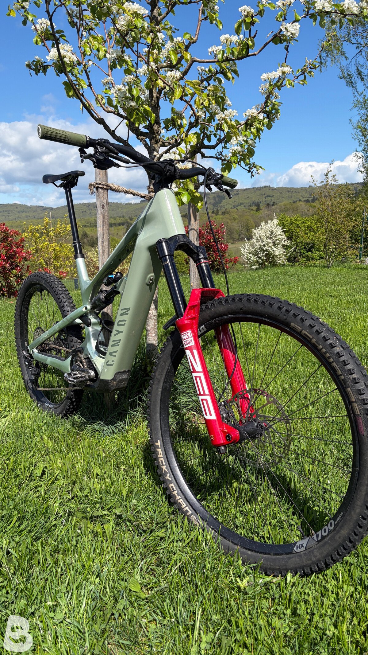 Canyon Strive On CFR 2024