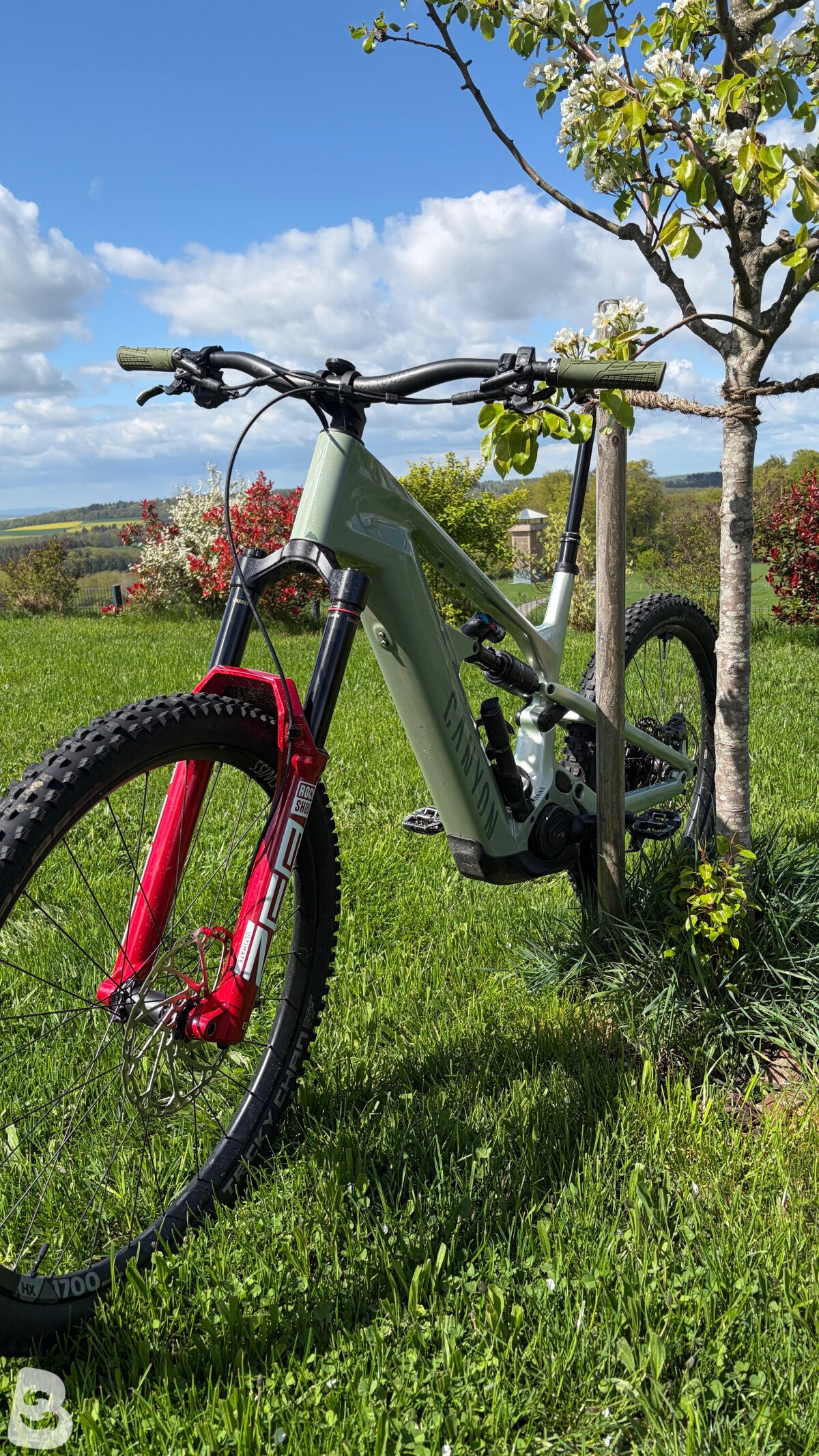 Canyon Strive On CFR 2024
