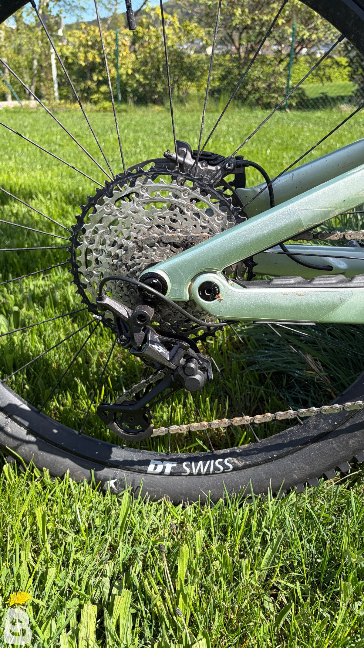 Canyon Strive On CFR 2024