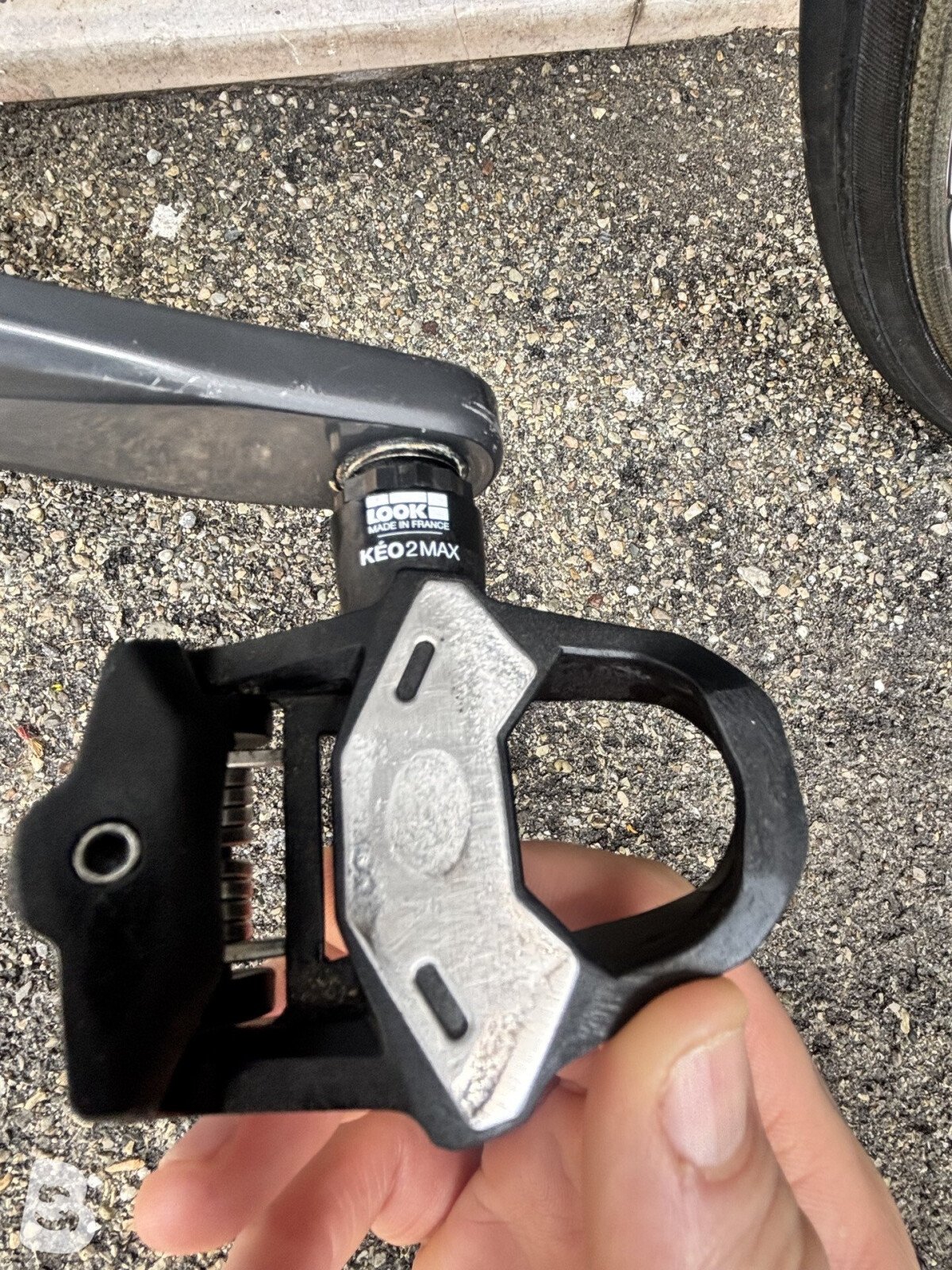 Wilier Triestina 2020