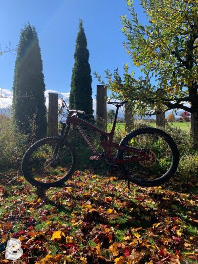 Propain Tyee CF Start 2021
