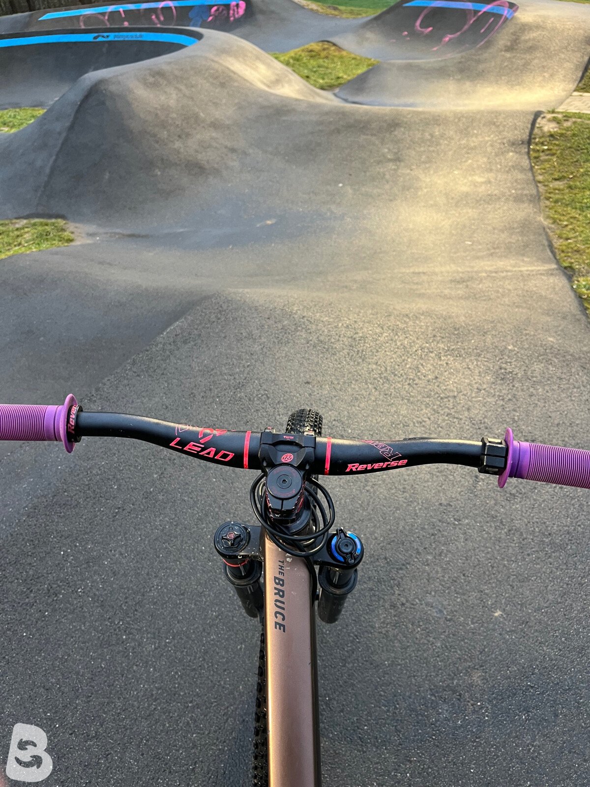 Rose The Bruce 2 2024