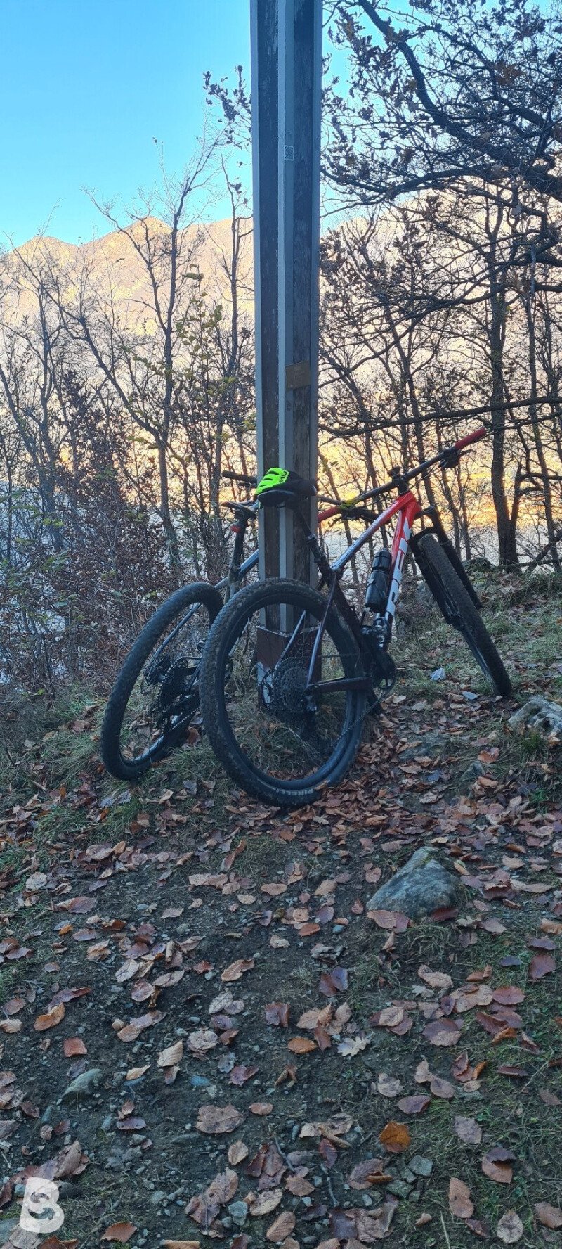 Trek Procaliber 9.8 2023