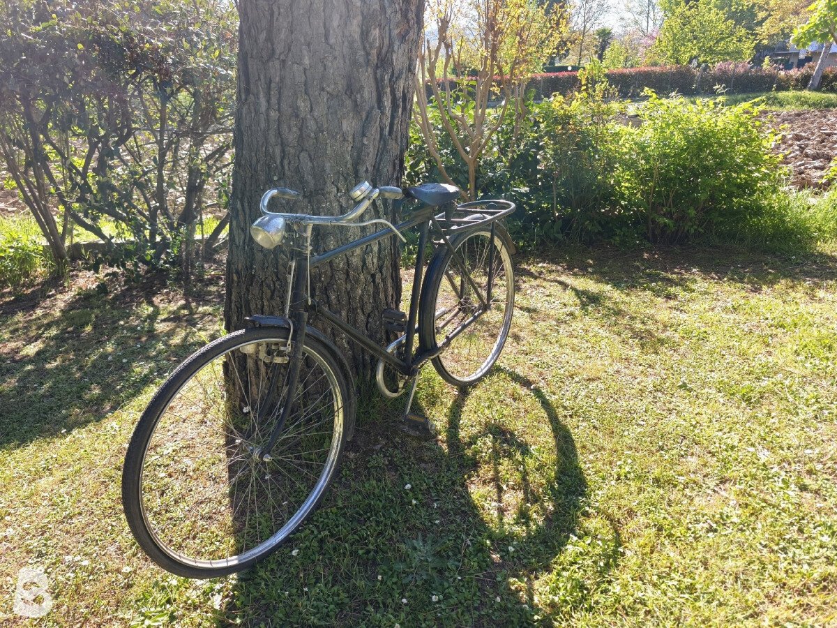 City Bike Vintage Old 1990