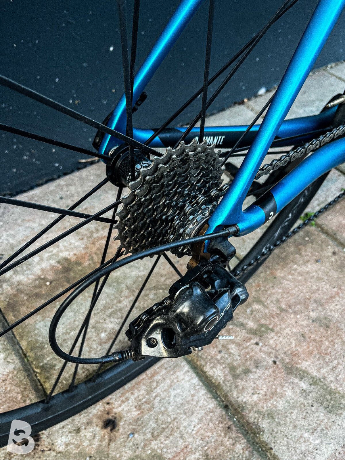 Basso Diamante 2020