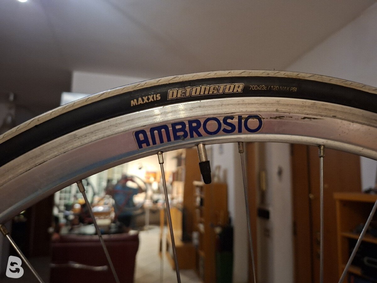 Olmo Corsa 1995