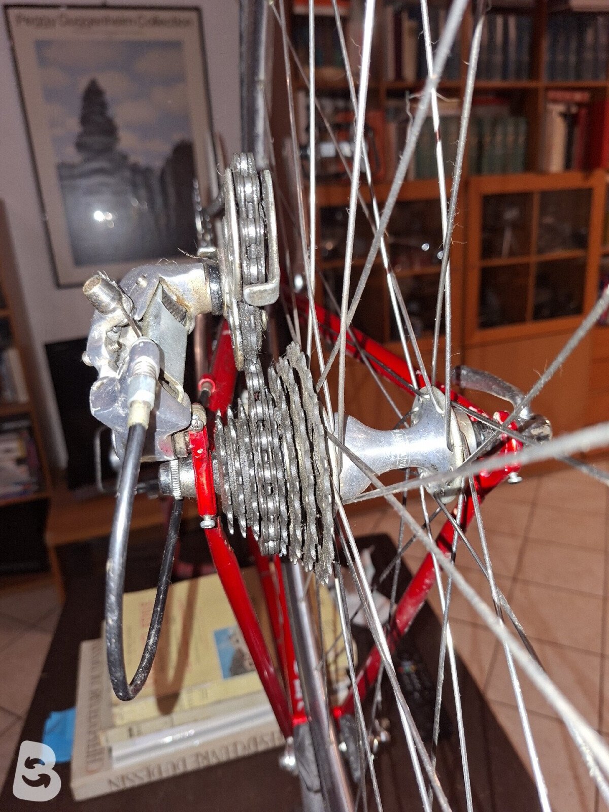 Olmo Corsa 1995