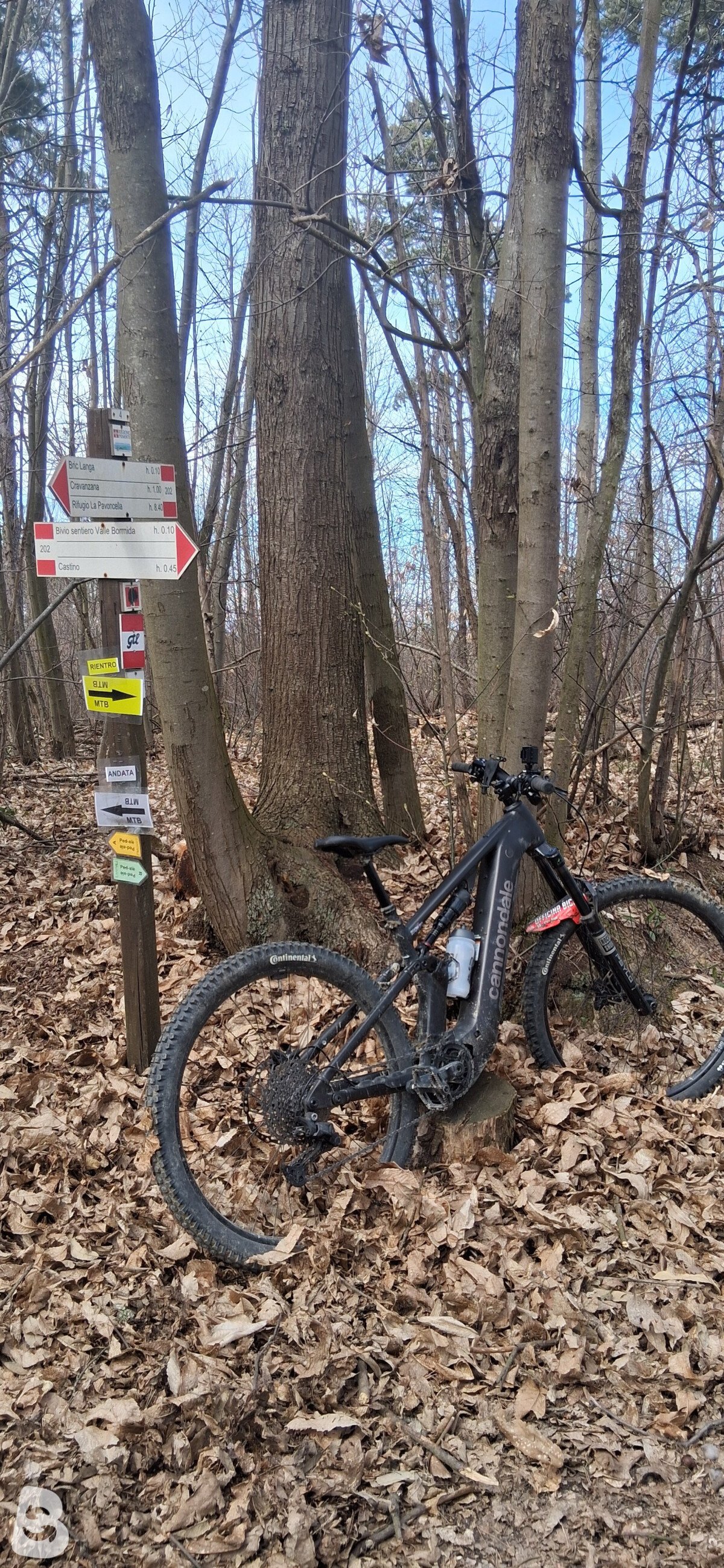 Cannondale moterra 2025