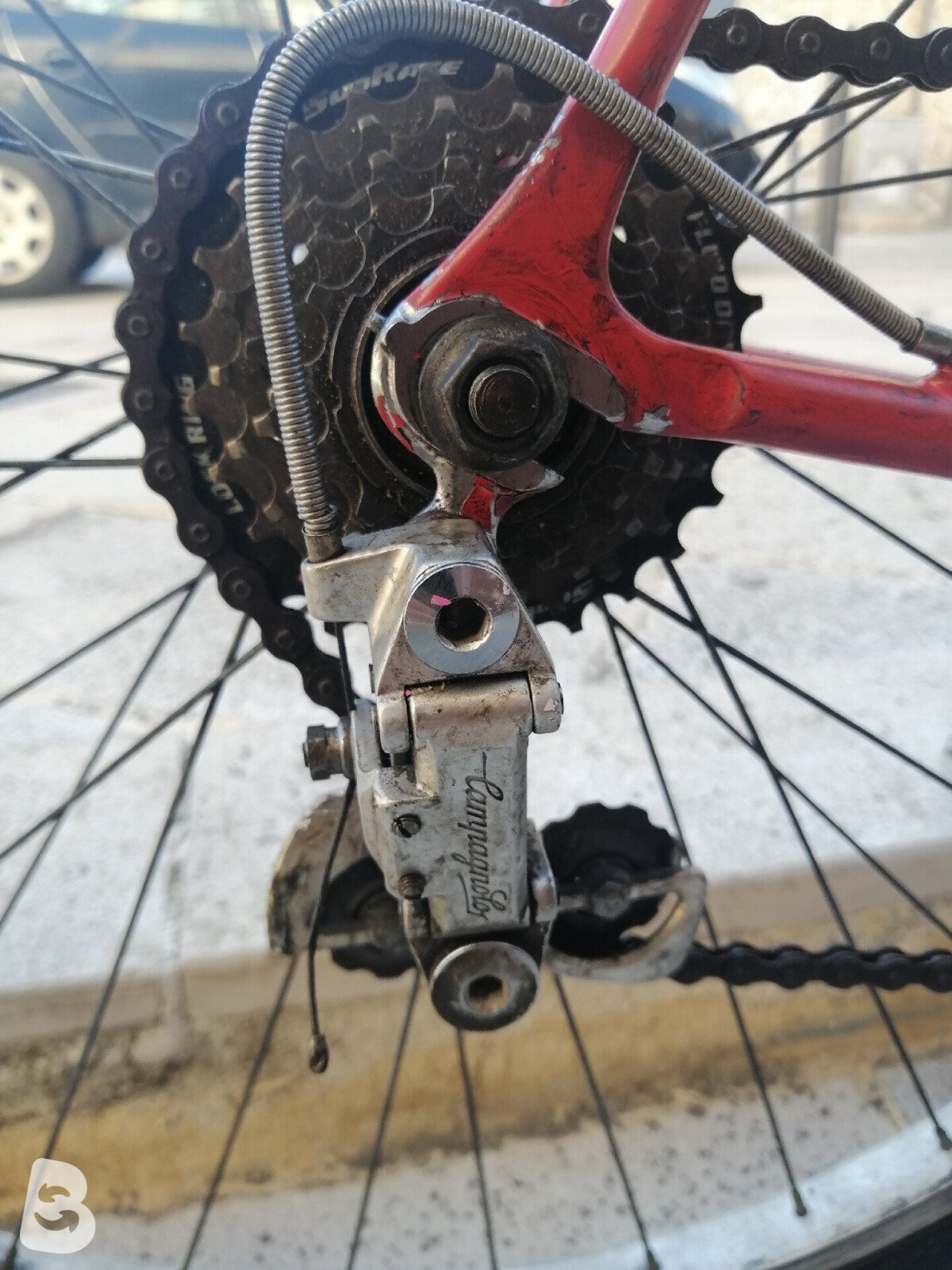 Atala Special