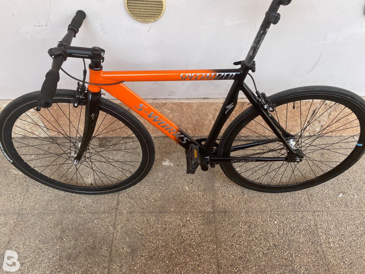 Custom Single Speed 2024