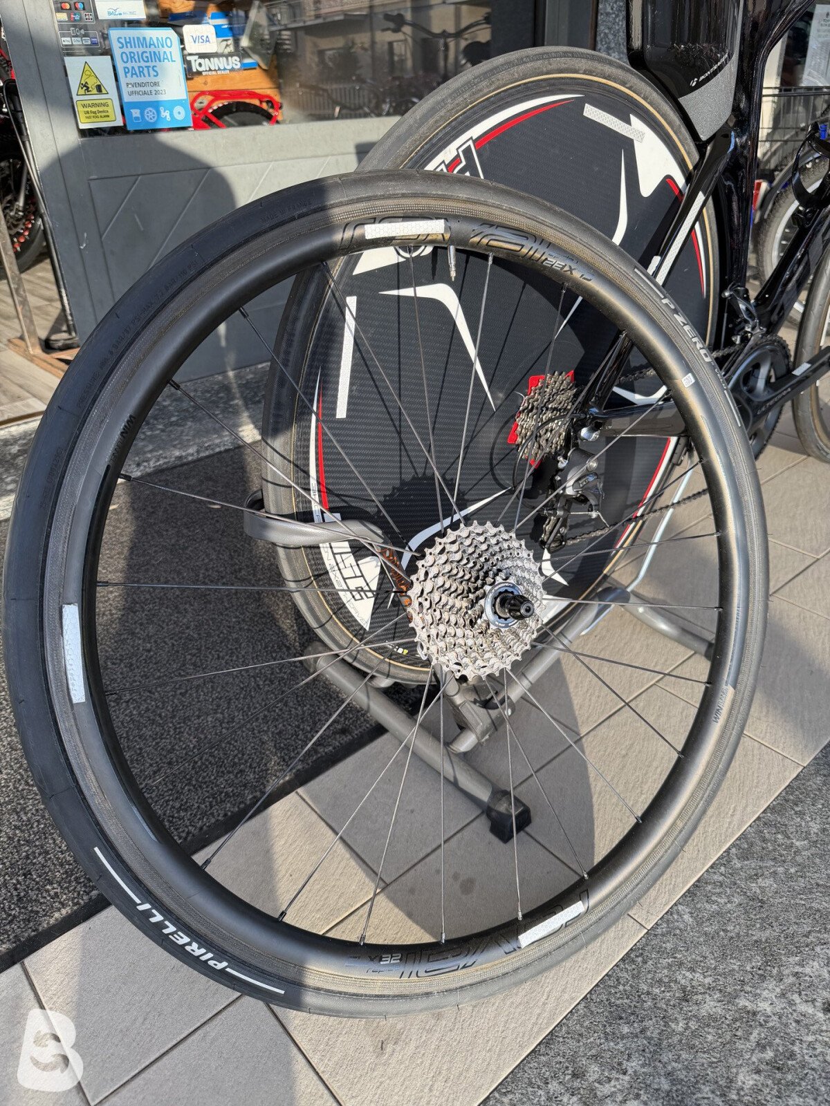 Trek Speed Concept 2021