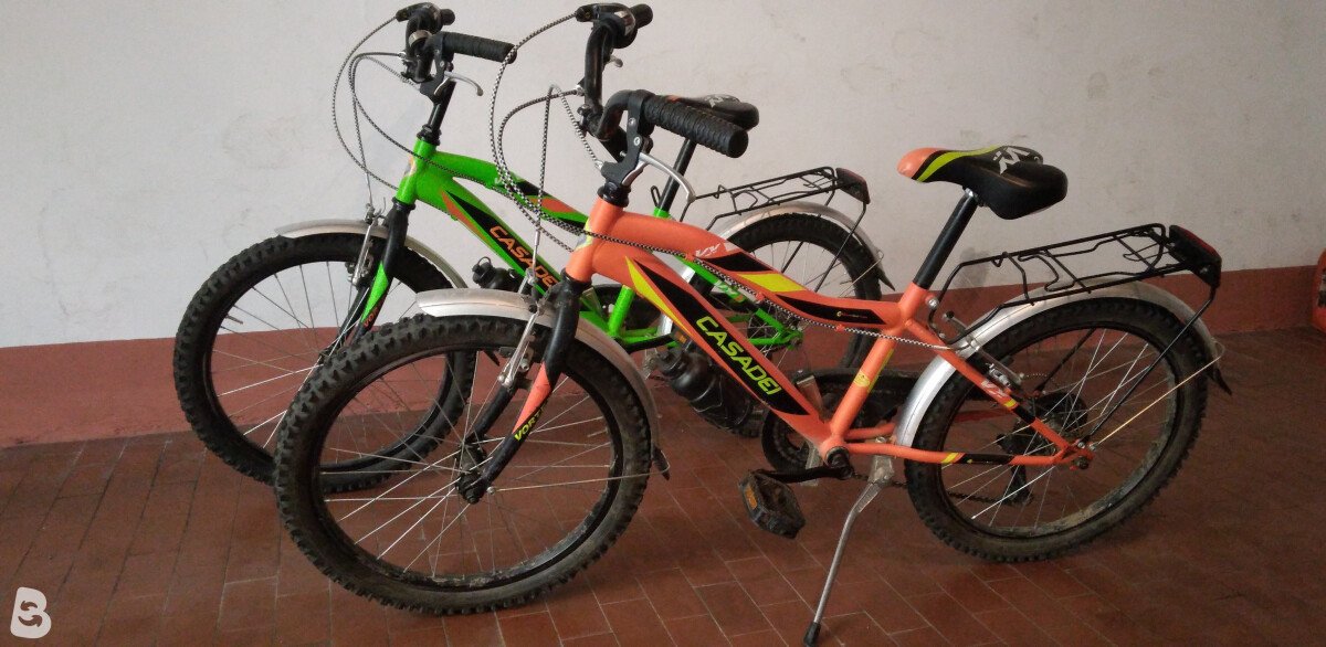 Casadei Vx 2021