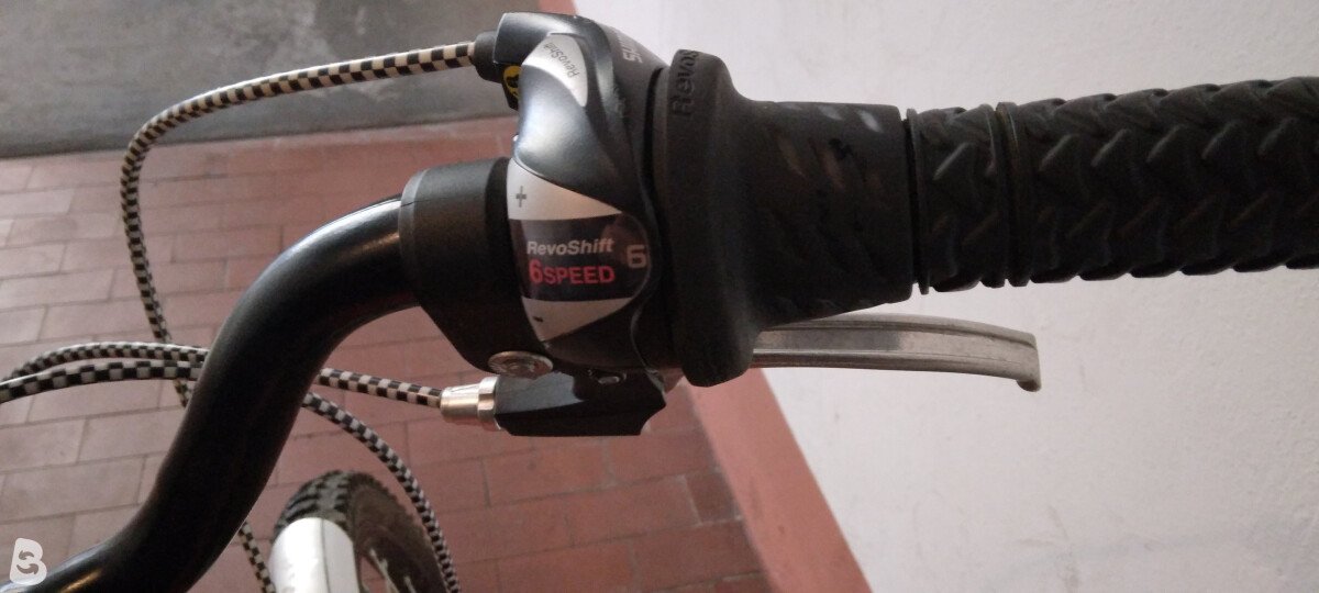 Casadei Vx 2021