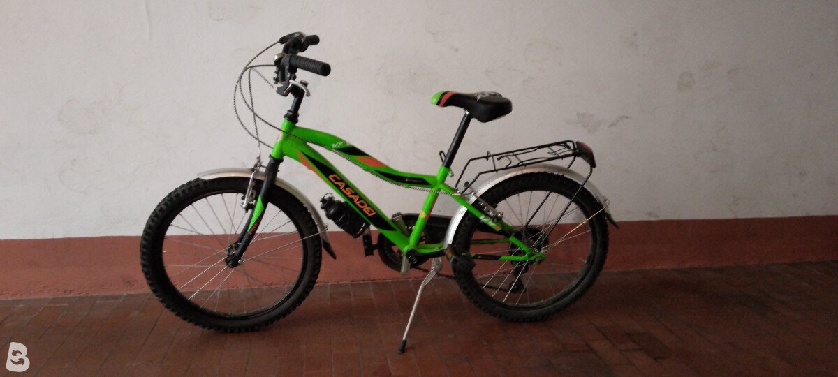 Casadei Vx 2021
