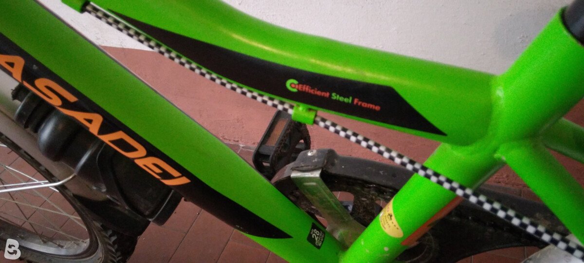 Casadei Vx 2021