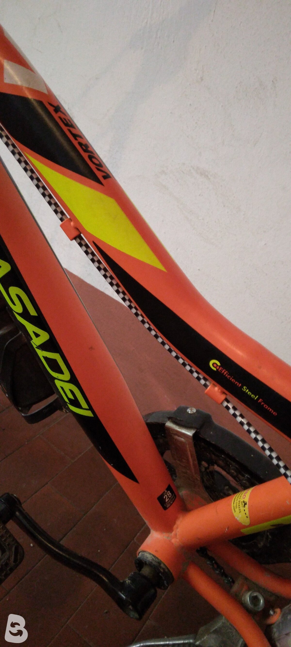 Casadei Vx 2021
