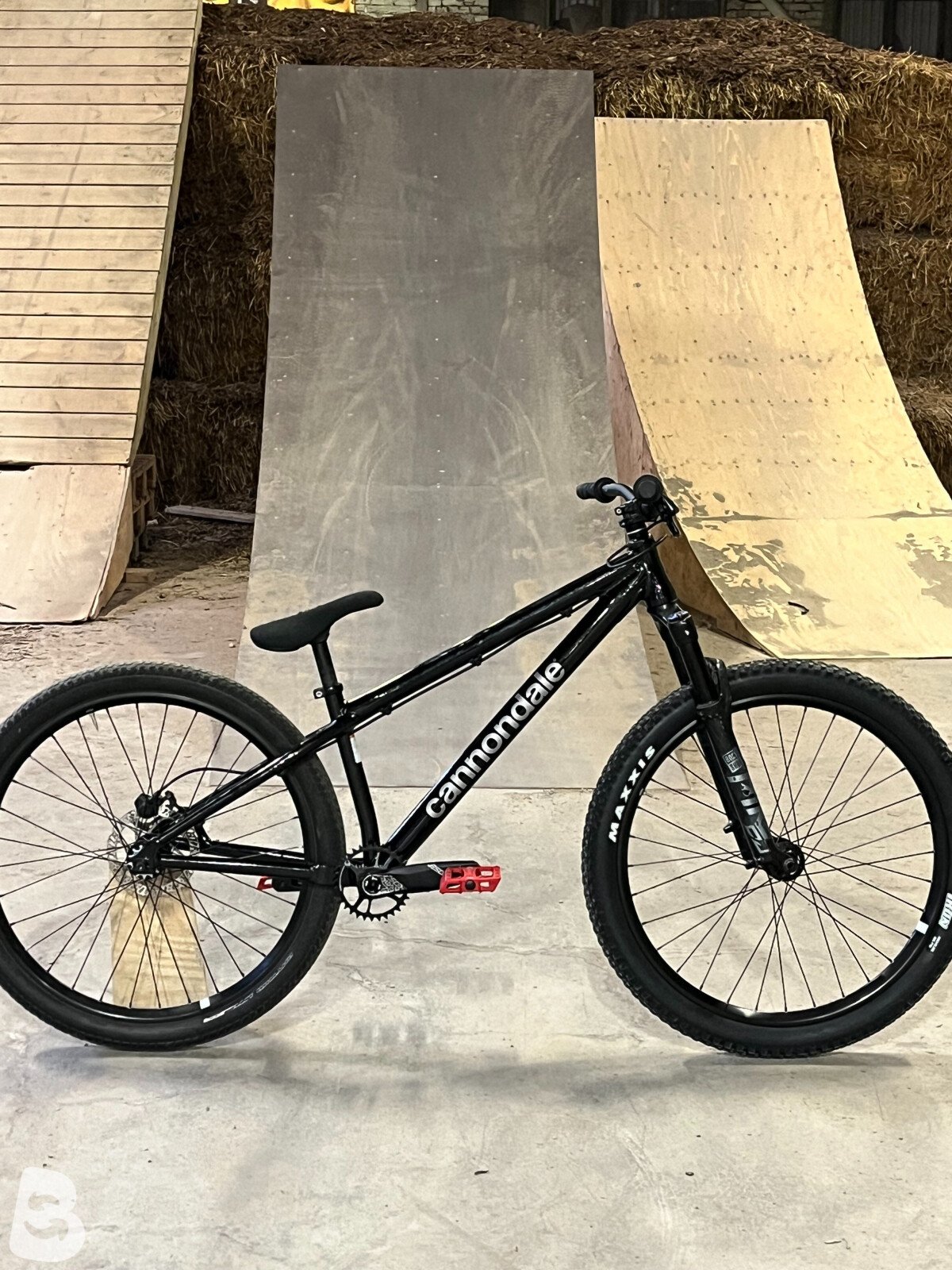 Cannondale dave 2025