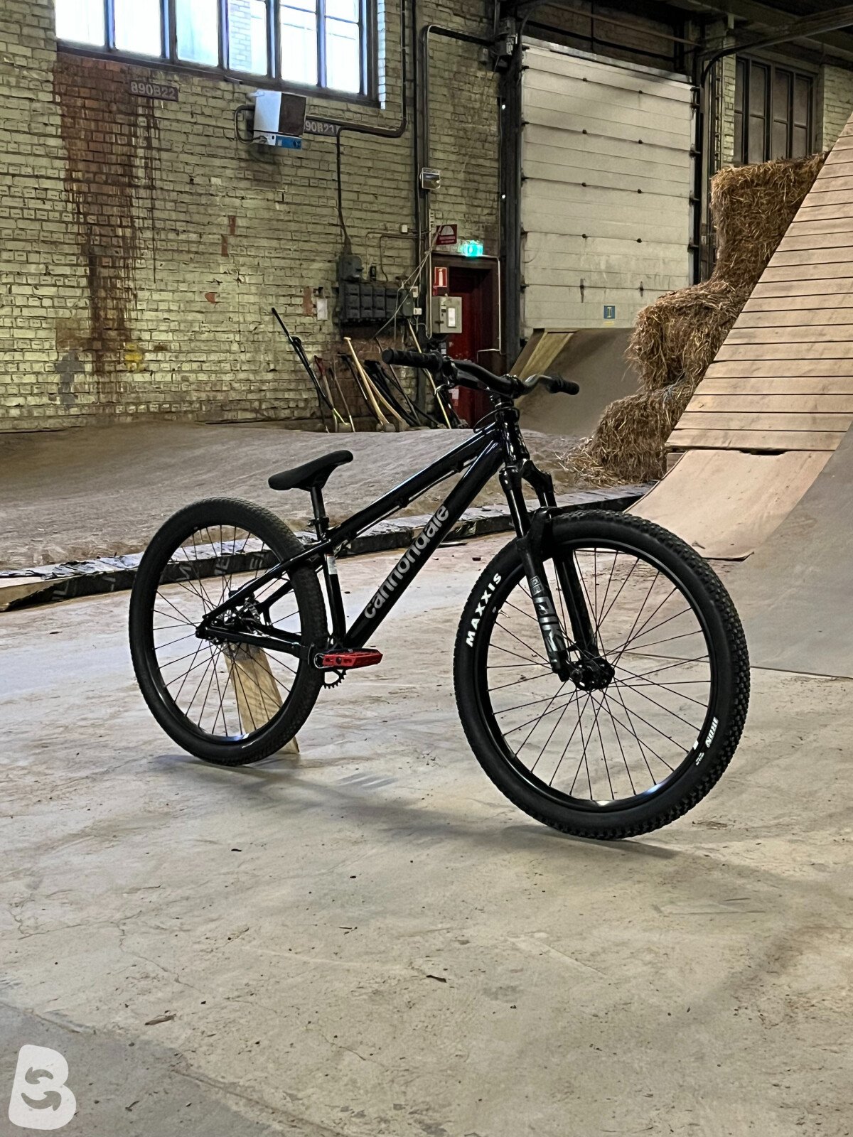 Cannondale dave 2025