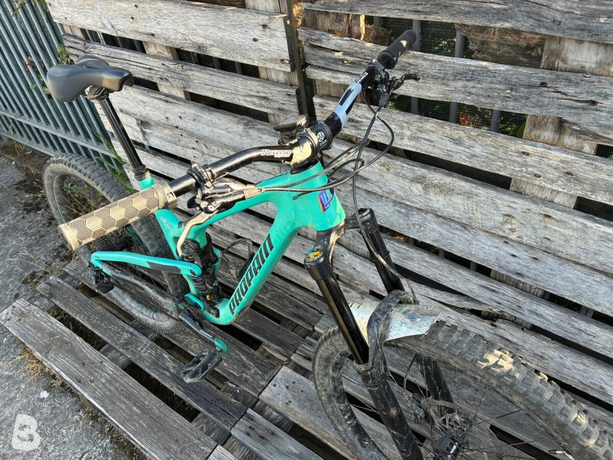 Propain Tyee cf 2020