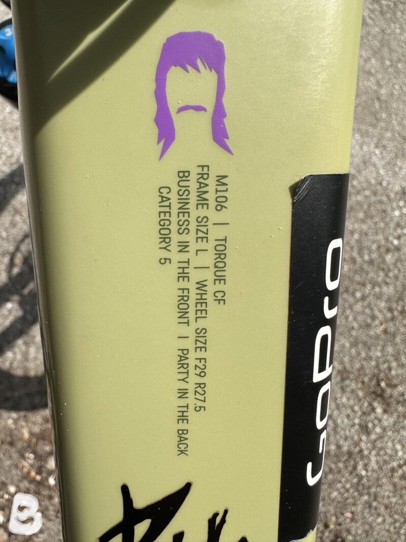 Canyon Torque CF 9.0 2020