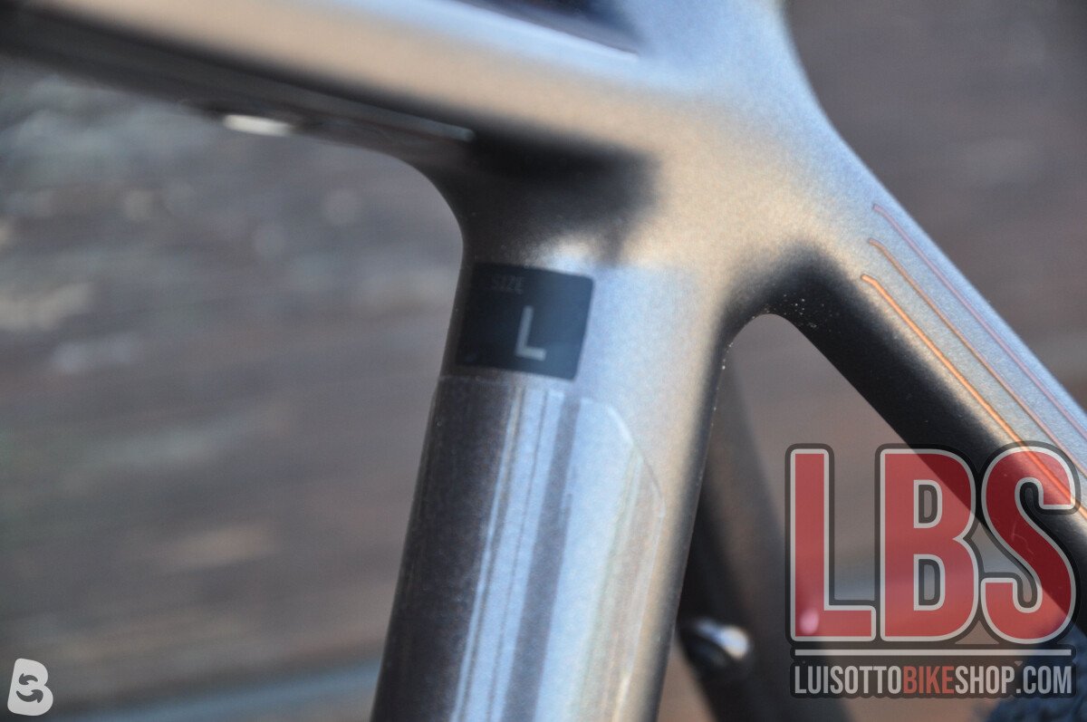 Orbea denna 2024