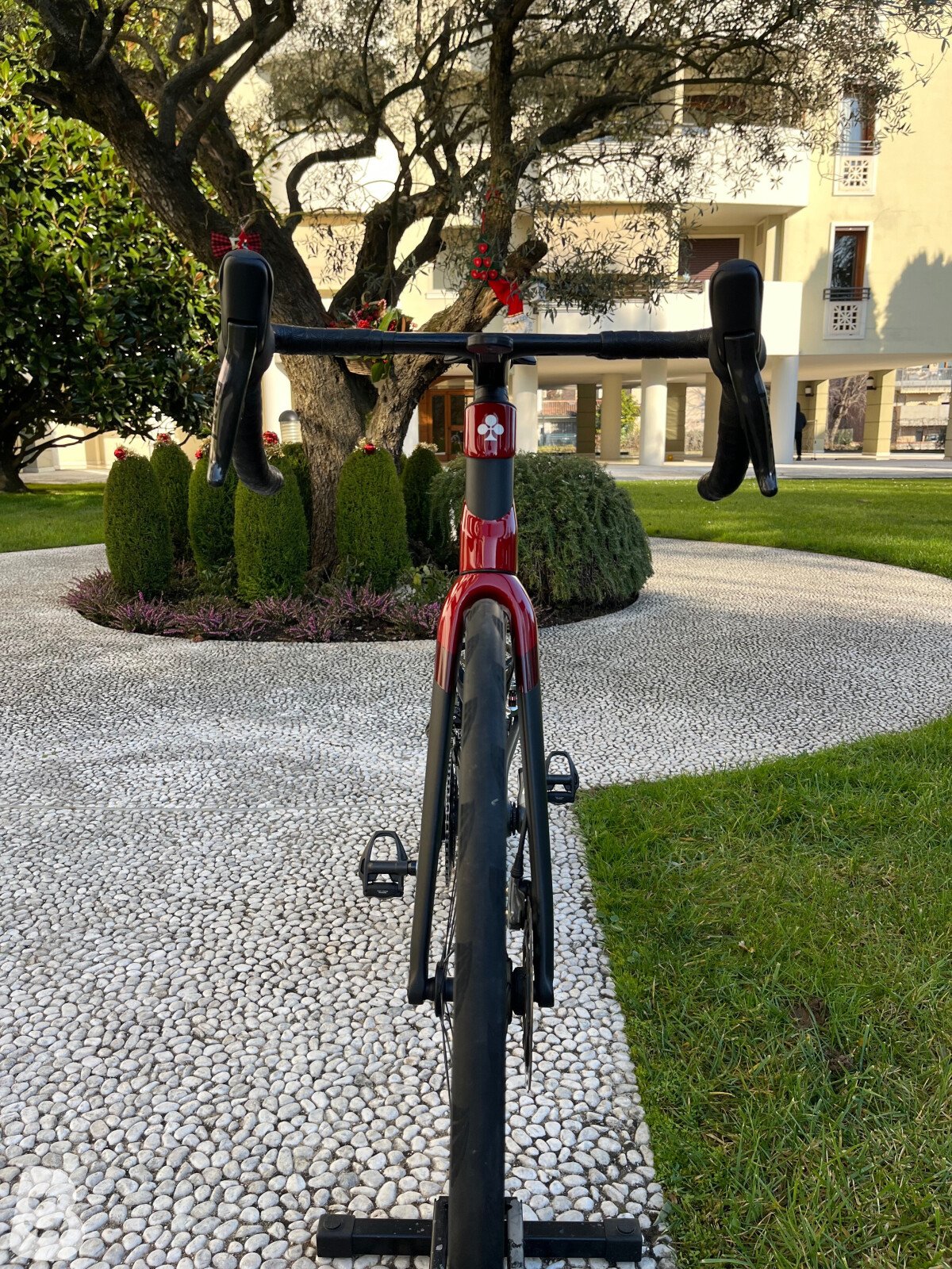 Colnago C68 2024