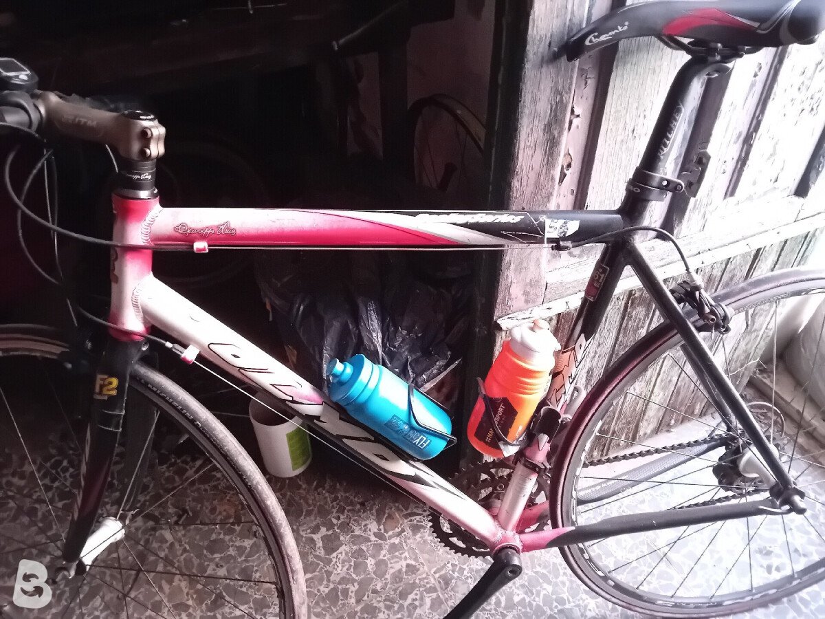 Olmo Impact F2 2008