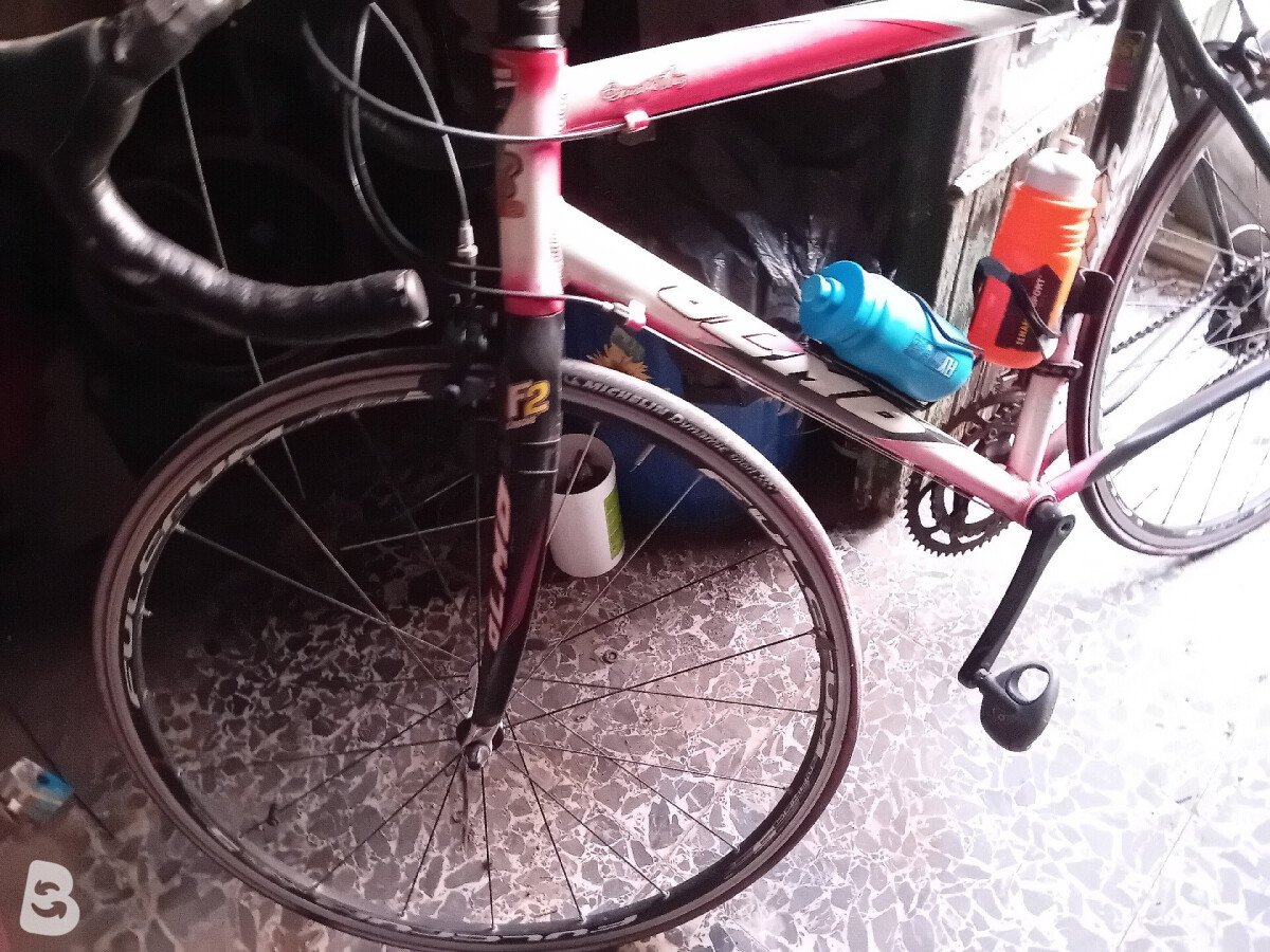 Olmo Impact F2 2008
