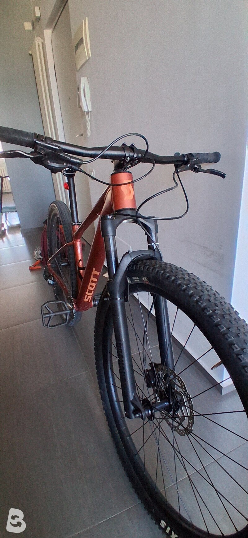 Scott contessa scale 940 2025