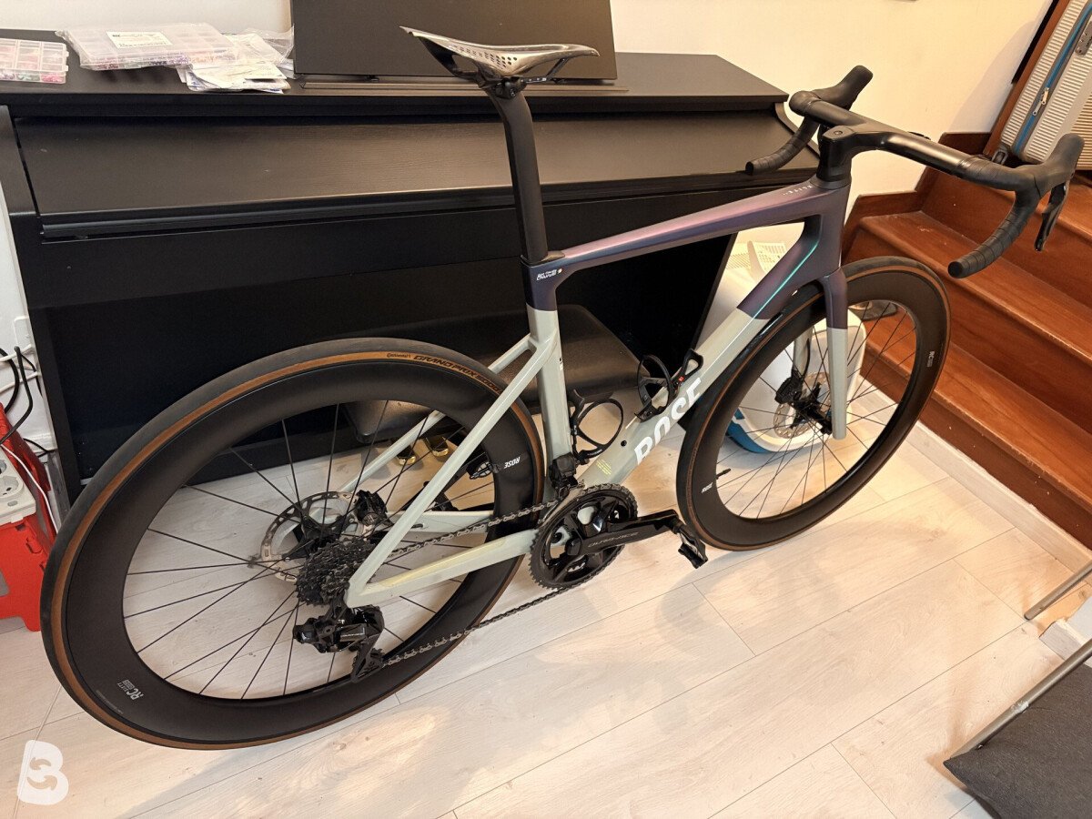 Rose X06 lite 2025