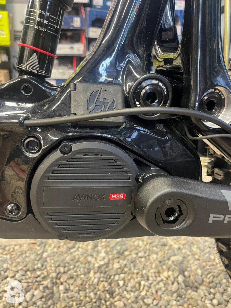Pivot SHUTTLE AMP'd AVINOX M2s 800wh 2027 2027