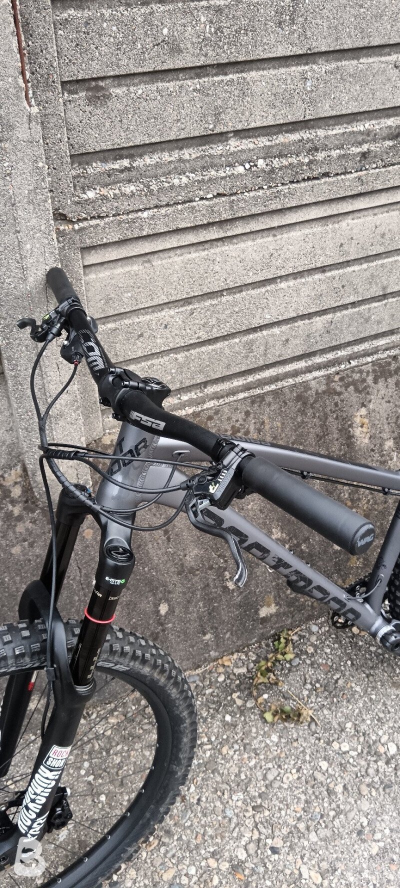 Dartmoor Primal V2 2024
