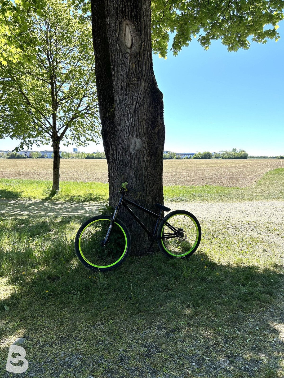 NS Bikes Metropolis