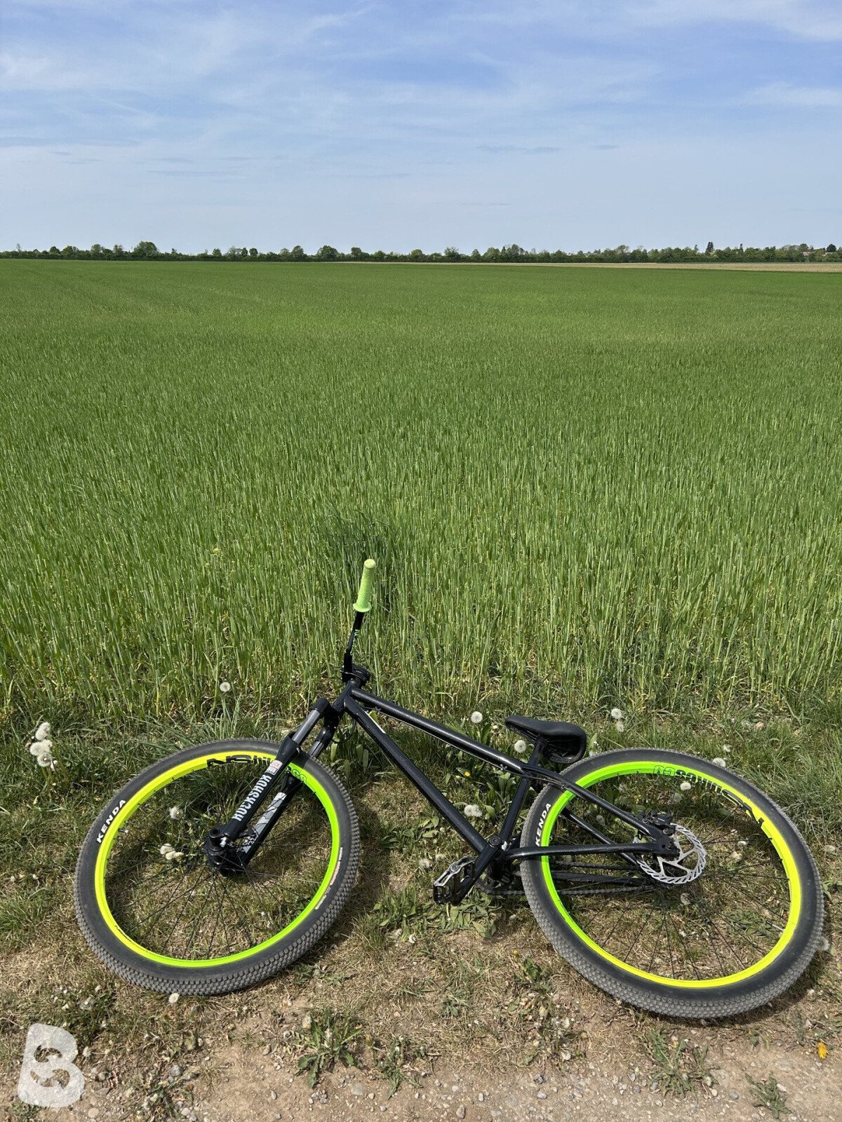 NS Bikes Metropolis