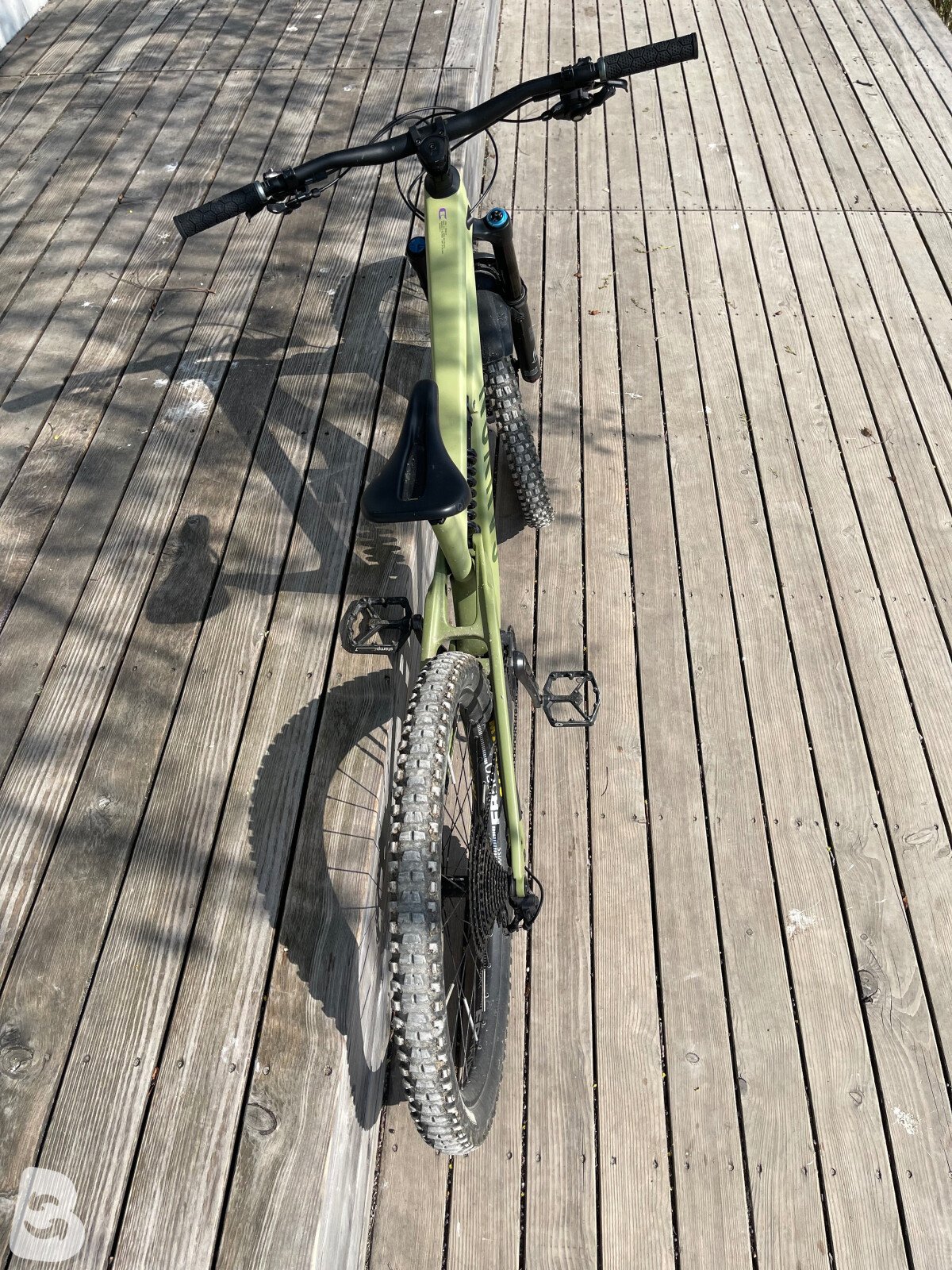 Canyon Torque mullet cf 8 2022