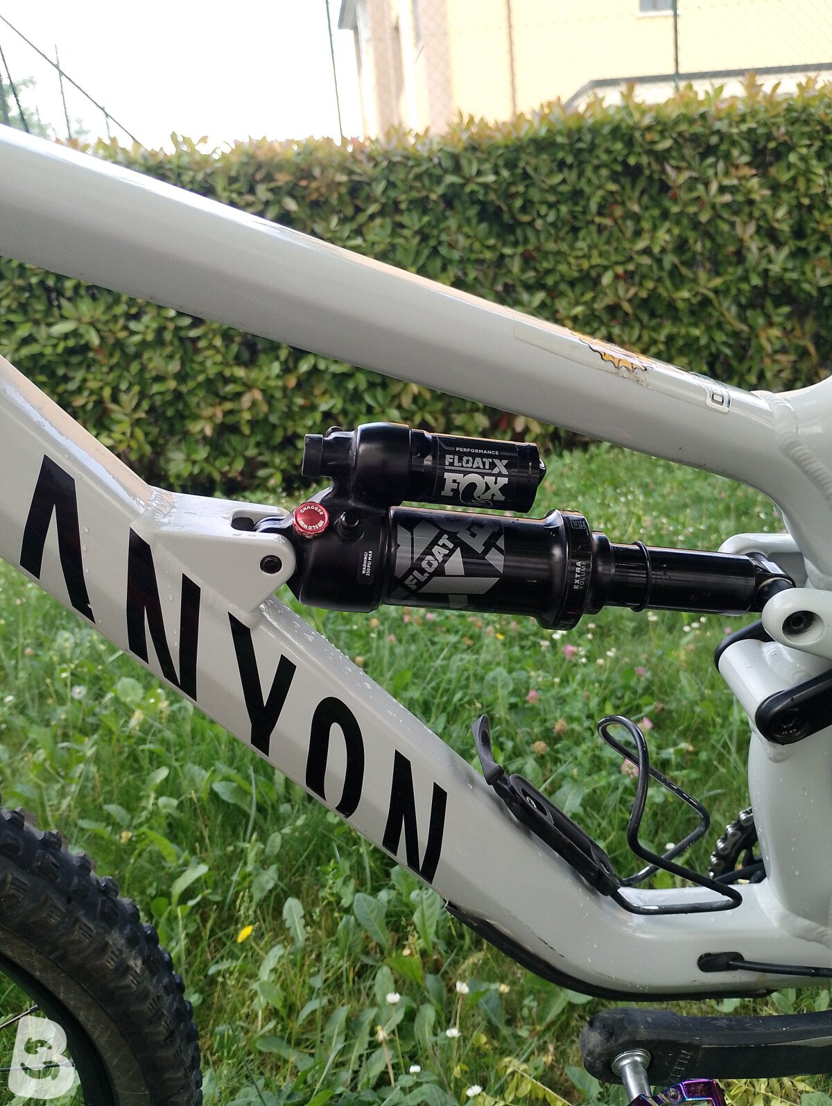 Canyon spectral AL 6 2024