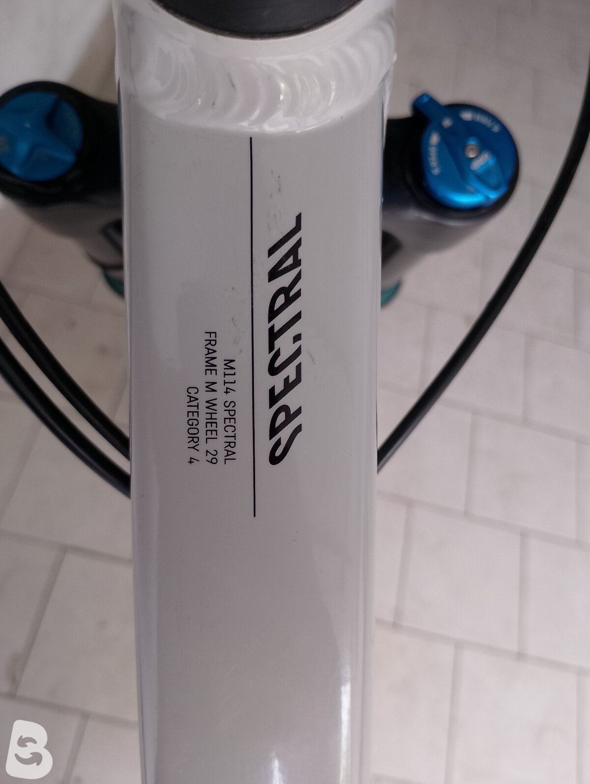 Canyon spectral AL 6 2024