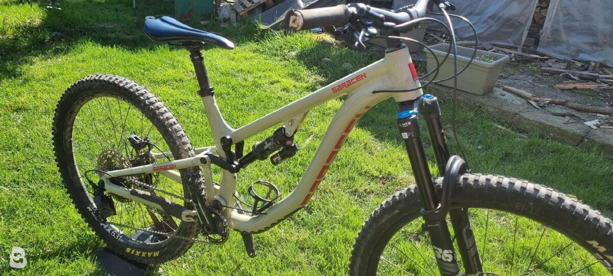 Saracen Ariel 60 2025