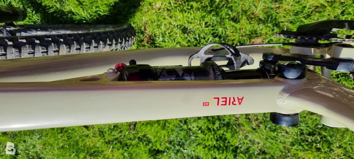 Saracen Ariel 60 2025
